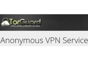 Torguard VPN Server Netzwerk